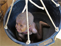 Σομαλία-Επισιτιστική κρίση: Καμία καθυστέρηση ή περιορισμός στην παροχή ανθρωπιστικής βοήθειας © Serene Assir/MSF